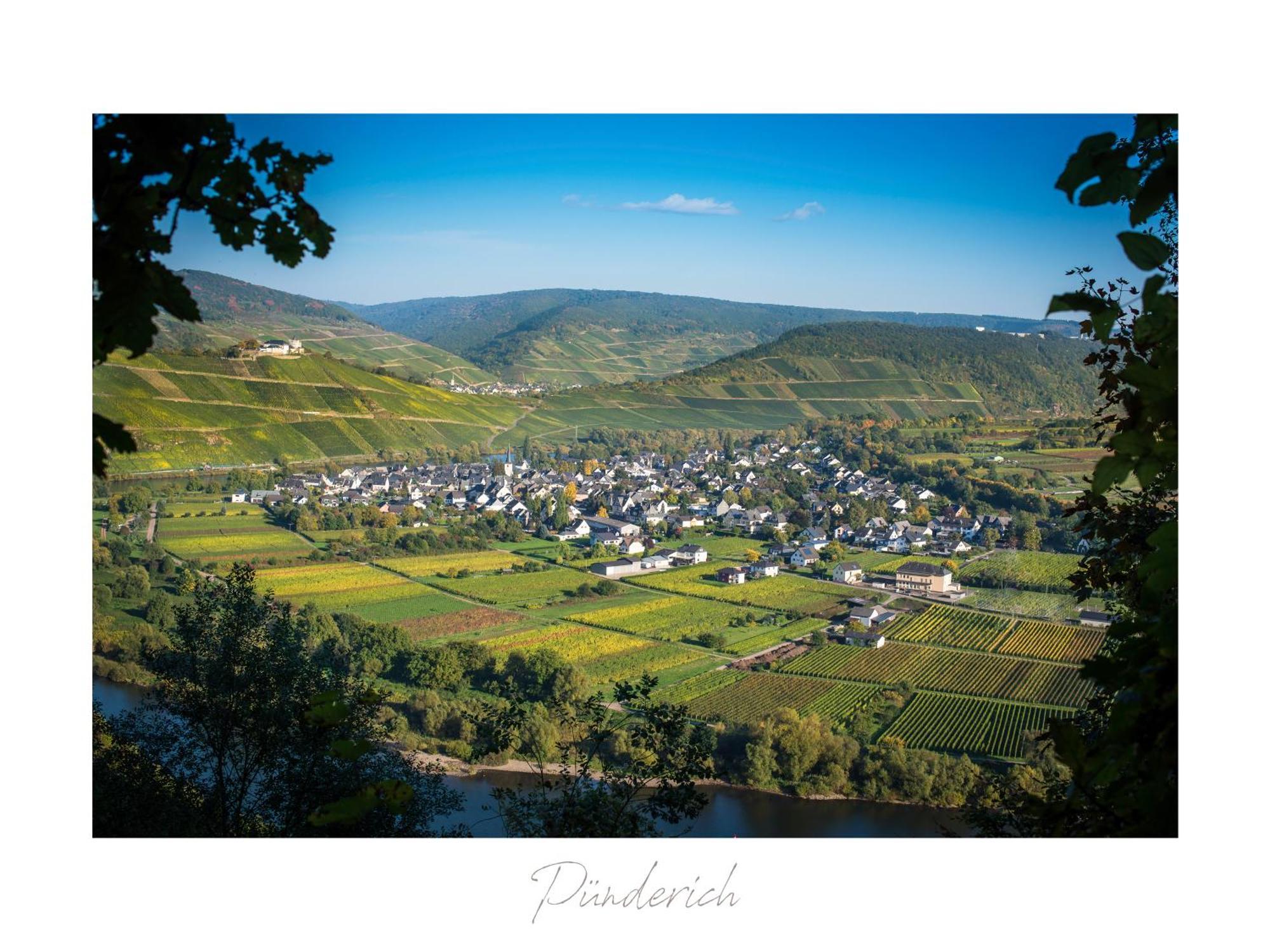 Ferienweingut Lütz Apartment