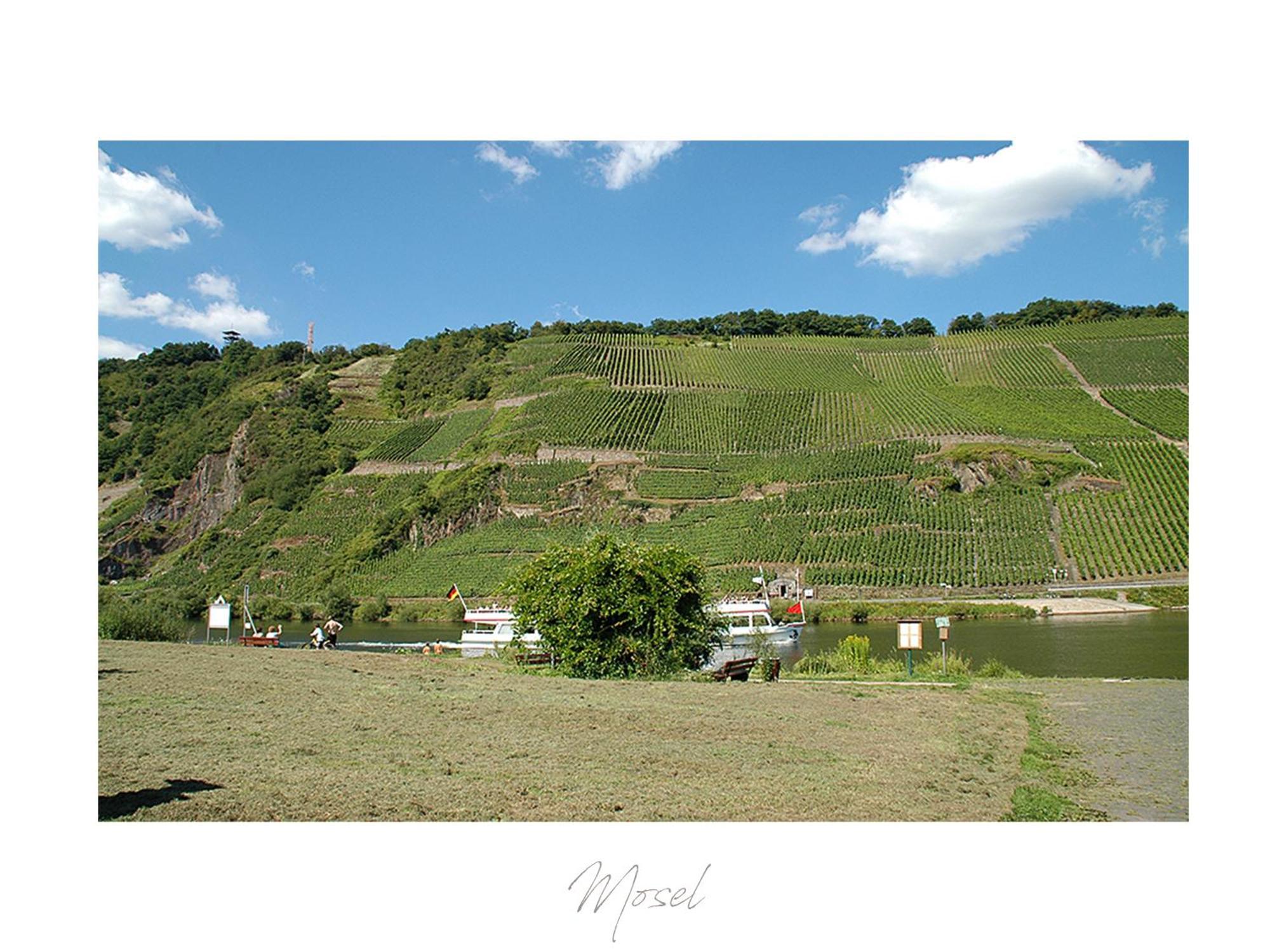 Ferienweingut Luetz * Punderich